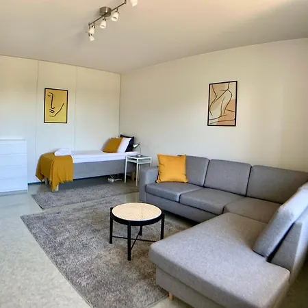 Апартаменты Kaupunkikoti 2-room C22 Кеми